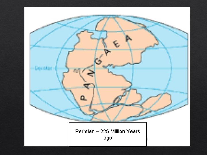 Permian – 225 Million Years ago 