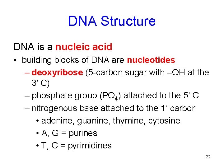 DNA Structure DNA is a nucleic acid • building blocks of DNA are nucleotides