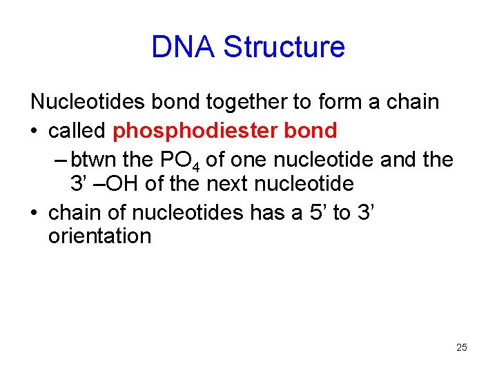 DNA Structure Nucleotides bond together to form a chain • called phosphodiester bond –