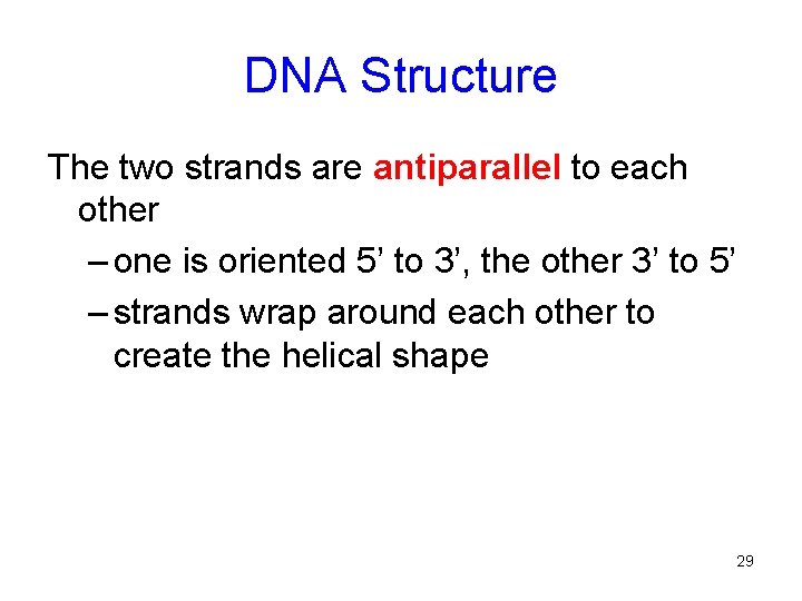 DNA Structure The two strands are antiparallel to each other – one is oriented