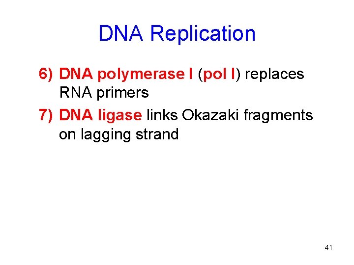 DNA Replication 6) DNA polymerase I (pol I) replaces RNA primers 7) DNA ligase