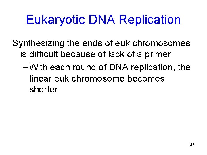 Eukaryotic DNA Replication Synthesizing the ends of euk chromosomes is difficult because of lack