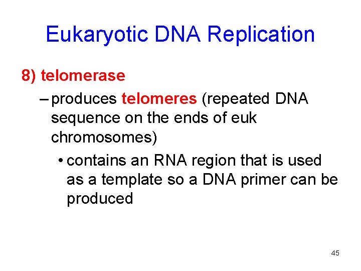 Eukaryotic DNA Replication 8) telomerase – produces telomeres (repeated DNA sequence on the ends