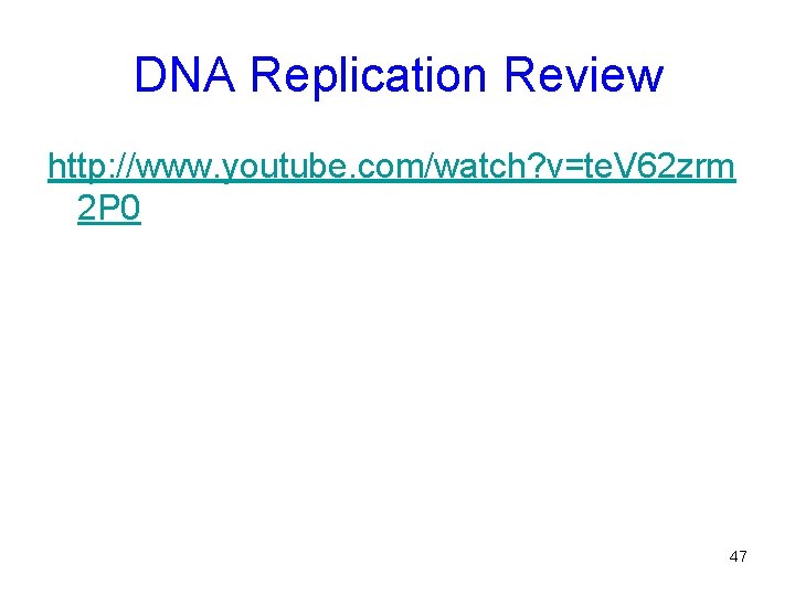 DNA Replication Review http: //www. youtube. com/watch? v=te. V 62 zrm 2 P 0