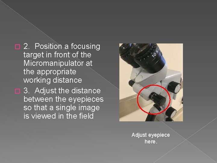 2. Position a focusing target in front of the Micromanipulator at the appropriate working
