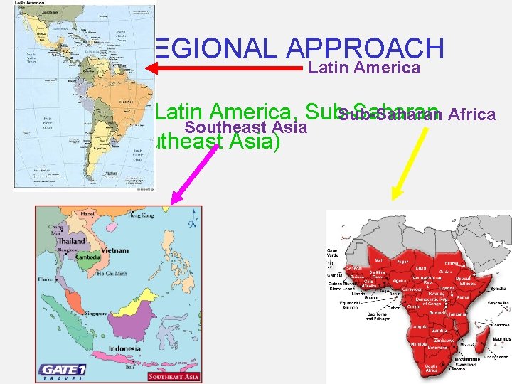 THE REGIONAL APPROACH Latin America • Regional (Latin America, Sub-Saharan Africa Southeast Asia Africa,