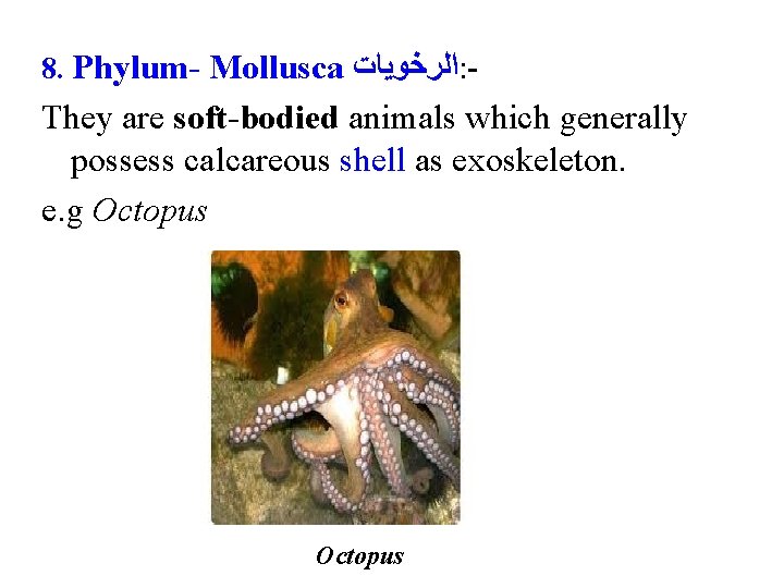 8. Phylum- Mollusca ﺍﻟﺮﺧﻮﻳﺎﺕ : - They are soft-bodied animals which generally possess calcareous