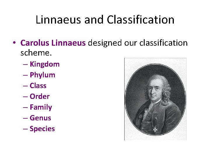 Linnaeus and Classification • Carolus Linnaeus designed our classification scheme. – Kingdom – Phylum