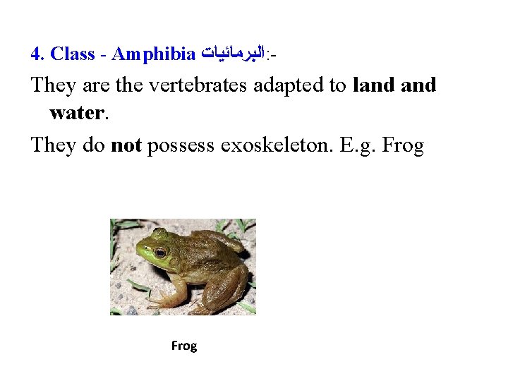 4. Class - Amphibia ﺍﻟﺒﺮﻣﺎﺋﻴﺎﺕ : - They are the vertebrates adapted to land