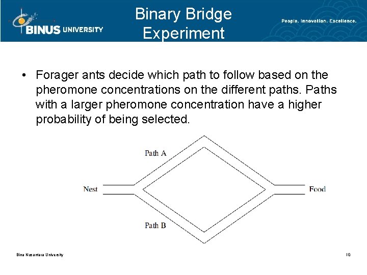 Binary Bridge Experiment • Forager ants decide which path to follow based on the