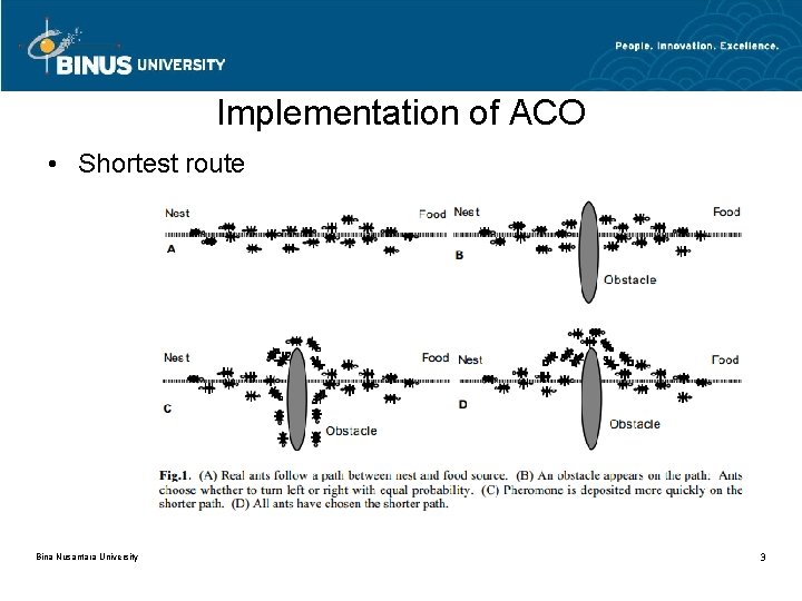 Implementation of ACO • Shortest route Bina Nusantara University 3 