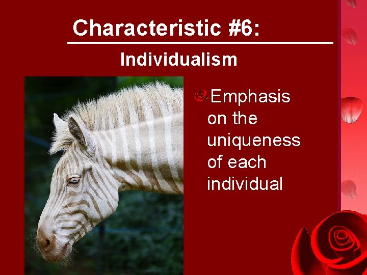Characteristic #6: Individualism Emphasis on the uniqueness of each individual 
