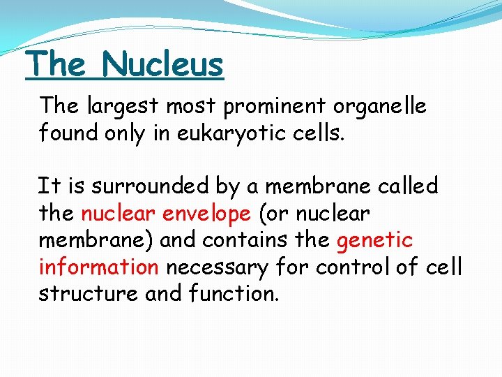 The Nucleus The largest most prominent organelle found only in eukaryotic cells. It is