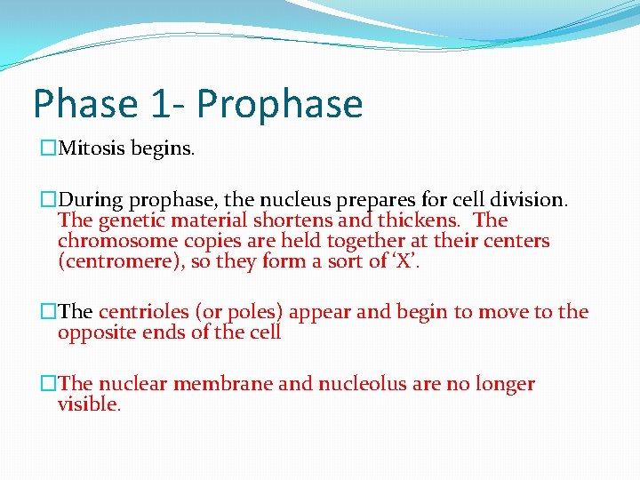 Phase 1 - Prophase �Mitosis begins. �During prophase, the nucleus prepares for cell division.