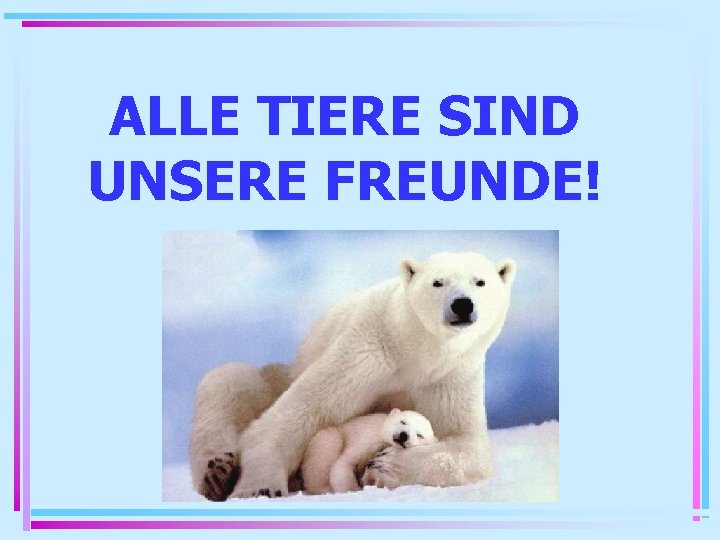 ALLE TIERE SIND UNSERE FREUNDE! 