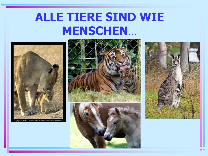 ALLE TIERE SIND WIE MENSCHEN… 