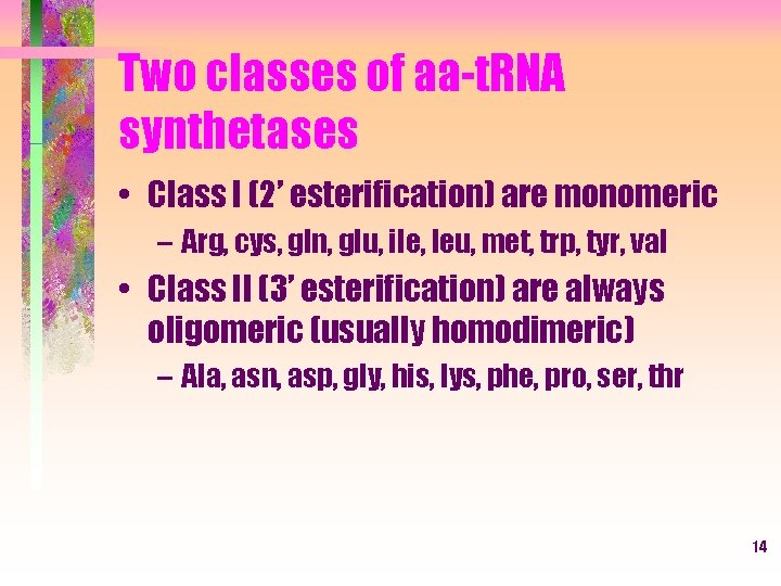 Two classes of aa-t. RNA synthetases • Class I (2’ esterification) are monomeric –