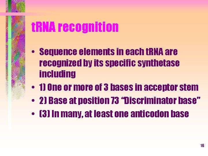 t. RNA recognition • Sequence elements in each t. RNA are recognized by its