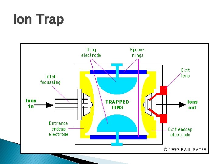 Ion Trap 