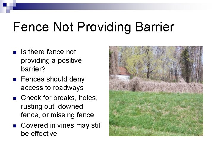 Fence Not Providing Barrier n n Is there fence not providing a positive barrier?