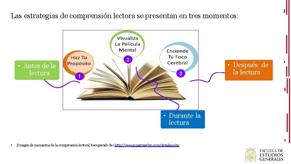 Las estrategias de comprensión lectora se presentan en tres momentos: • Antes de la