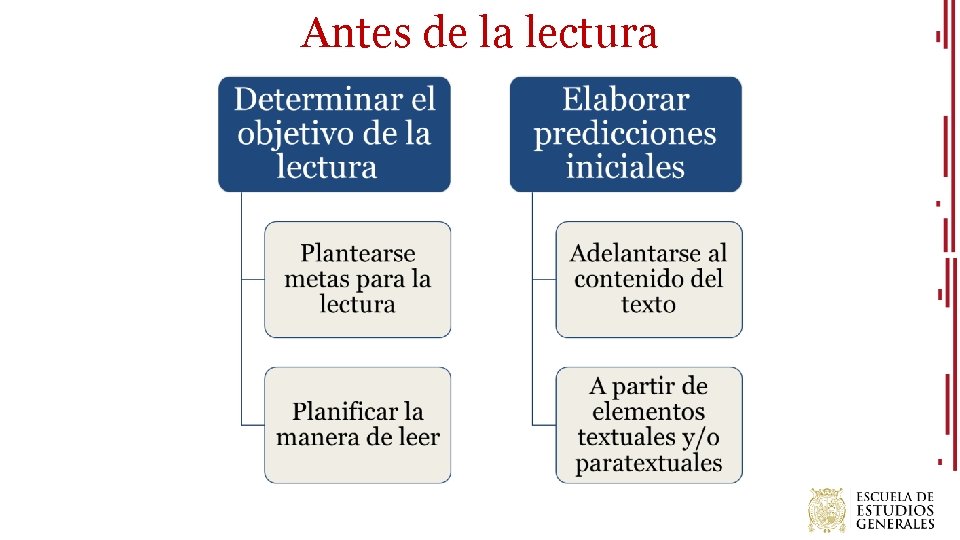 Antes de la lectura 