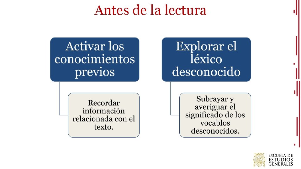 Antes de la lectura 