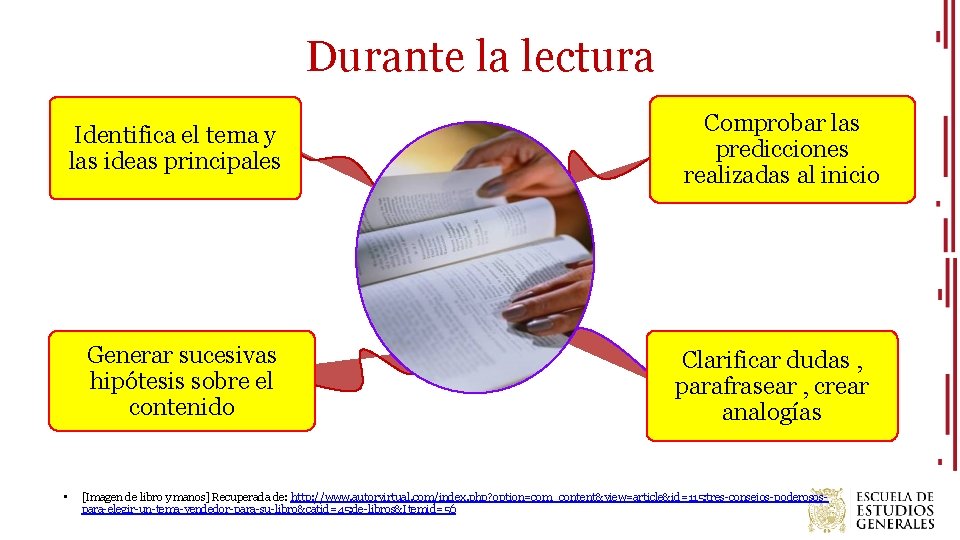 Durante la lectura Identifica el tema y las ideas principales Generar sucesivas hipótesis sobre