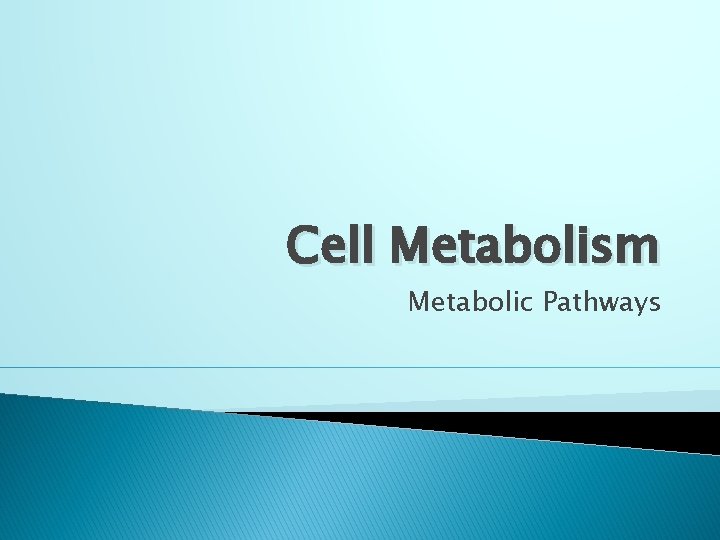 Cell Metabolism Metabolic Pathways 