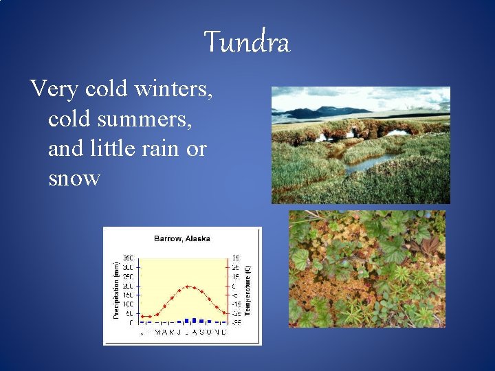 Tundra Very cold winters, cold summers, and little rain or snow 