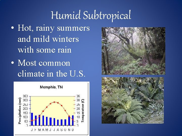 Humid Subtropical • Hot, rainy summers and mild winters with some rain • Most