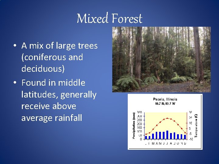 Mixed Forest • A mix of large trees (coniferous and deciduous) • Found in