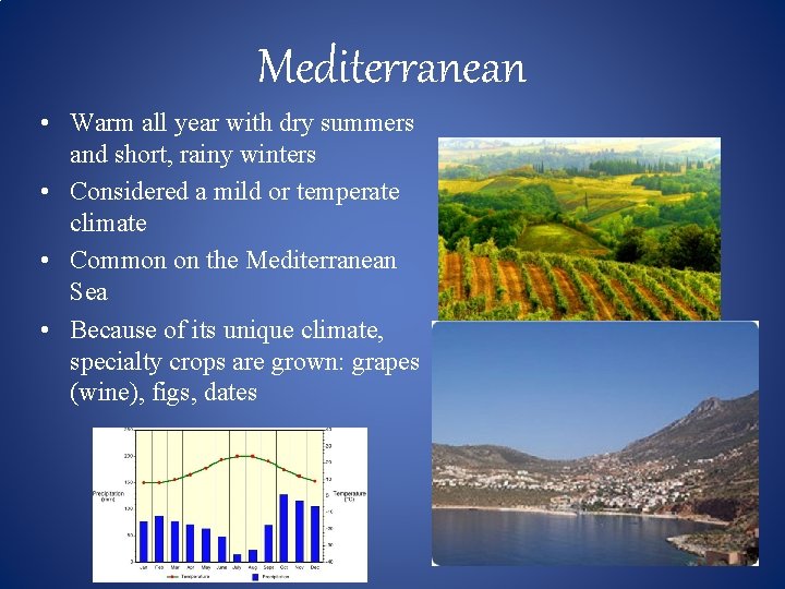 Mediterranean • Warm all year with dry summers and short, rainy winters • Considered