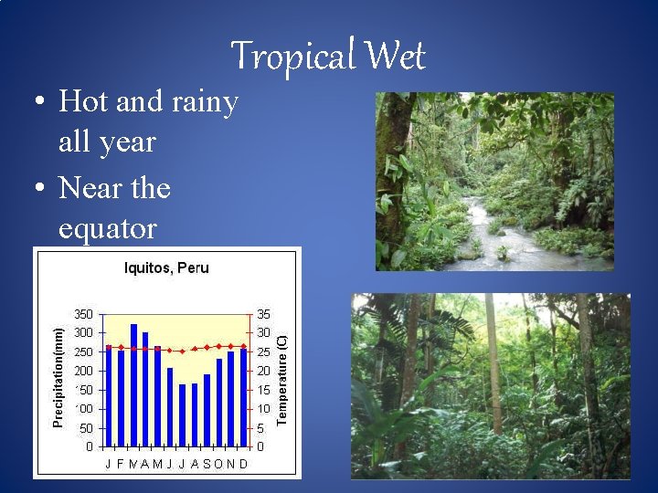 Tropical Wet • Hot and rainy all year • Near the equator 