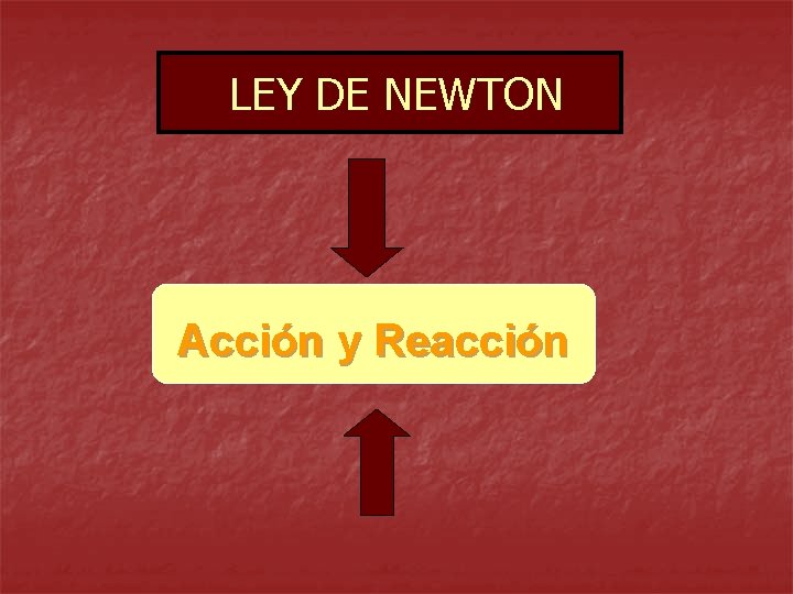 LEY DE NEWTON Acción y Reacción 