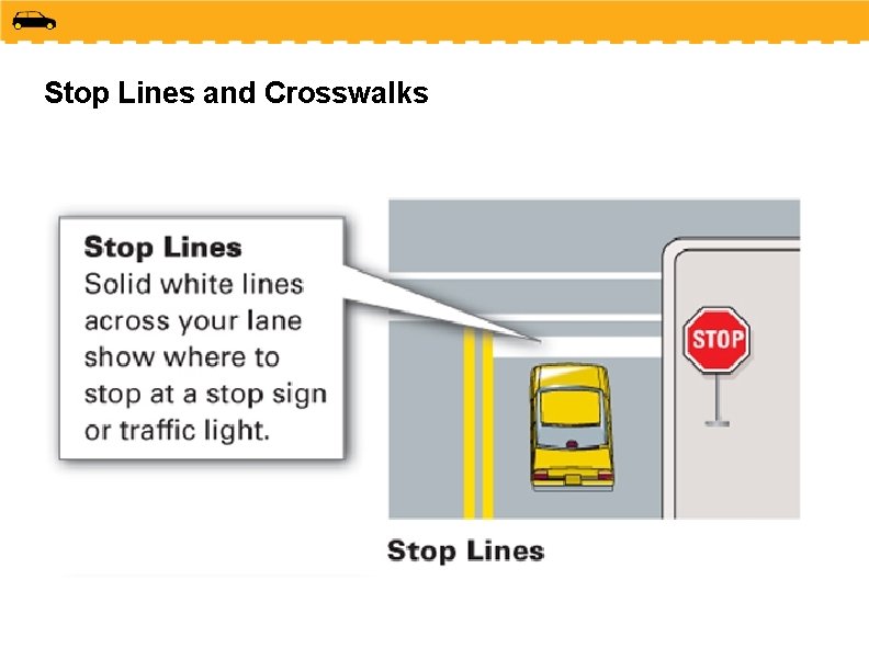 Stop Lines and Crosswalks 