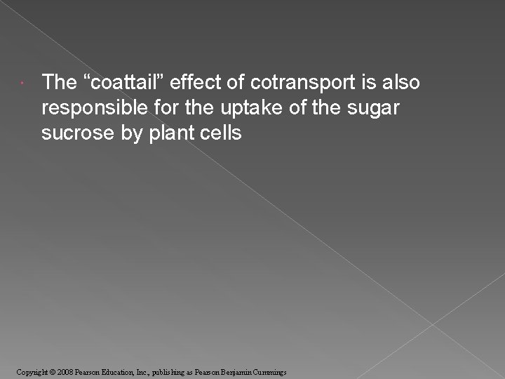  The “coattail” effect of cotransport is also responsible for the uptake of the