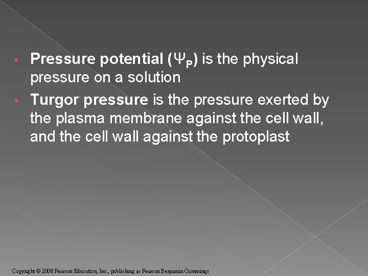 Pressure potential (ΨP) is the physical pressure on a solution • Turgor pressure is