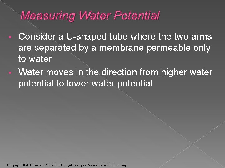 Measuring Water Potential Consider a U-shaped tube where the two arms are separated by