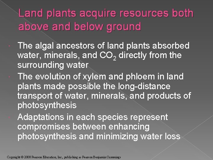 Land plants acquire resources both above and below ground The algal ancestors of land