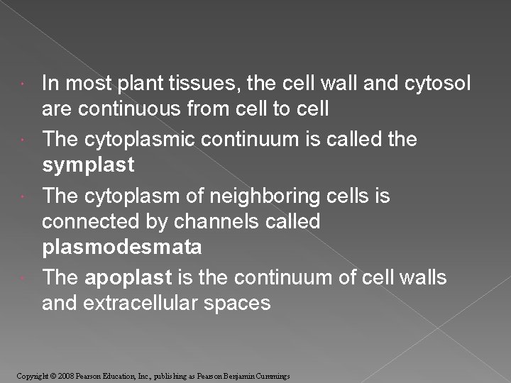 In most plant tissues, the cell wall and cytosol are continuous from cell to