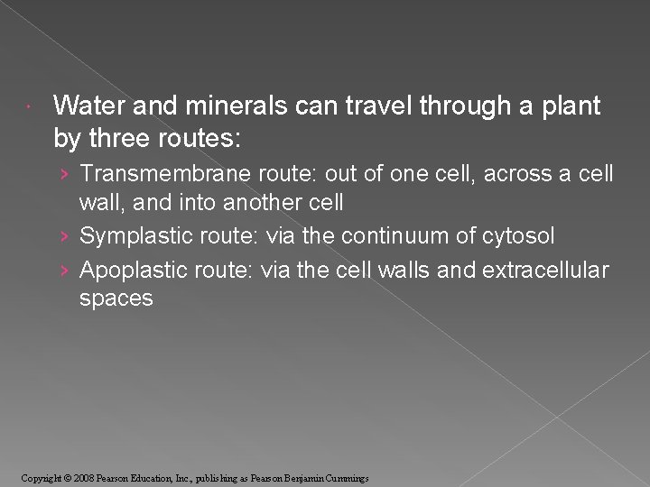  Water and minerals can travel through a plant by three routes: › Transmembrane