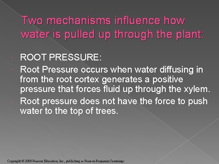 Two mechanisms influence how water is pulled up through the plant: ROOT PRESSURE: Root
