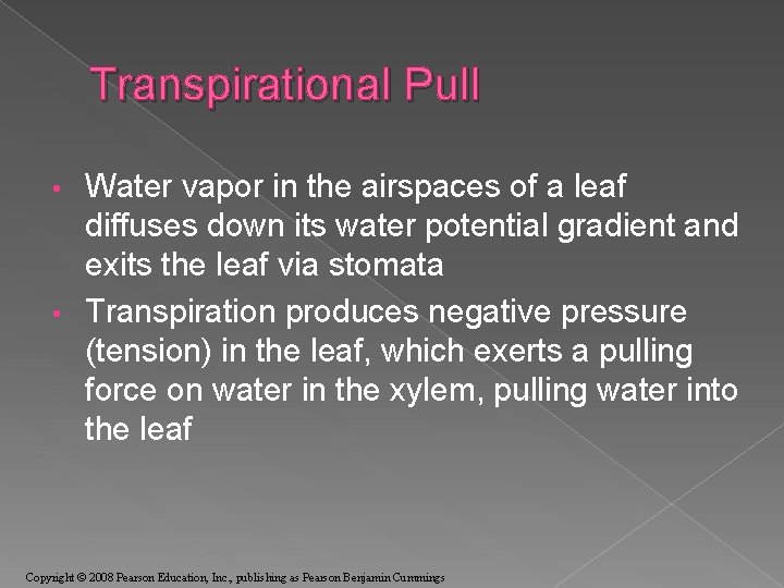 Transpirational Pull Water vapor in the airspaces of a leaf diffuses down its water