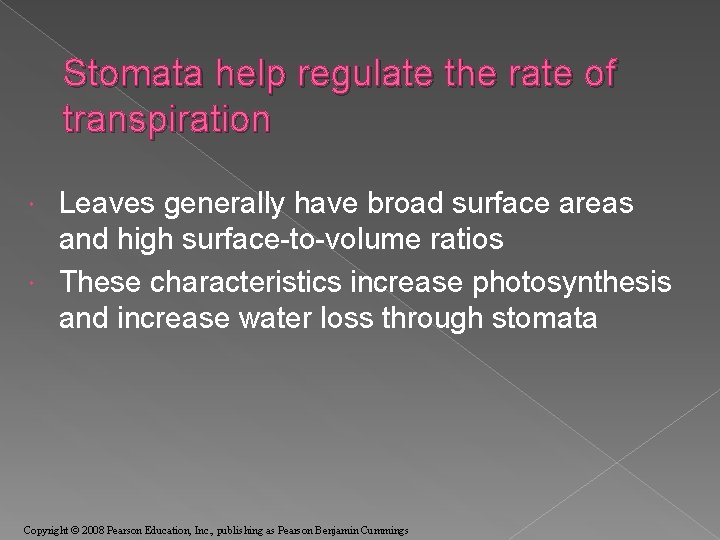 Stomata help regulate the rate of transpiration Leaves generally have broad surface areas and