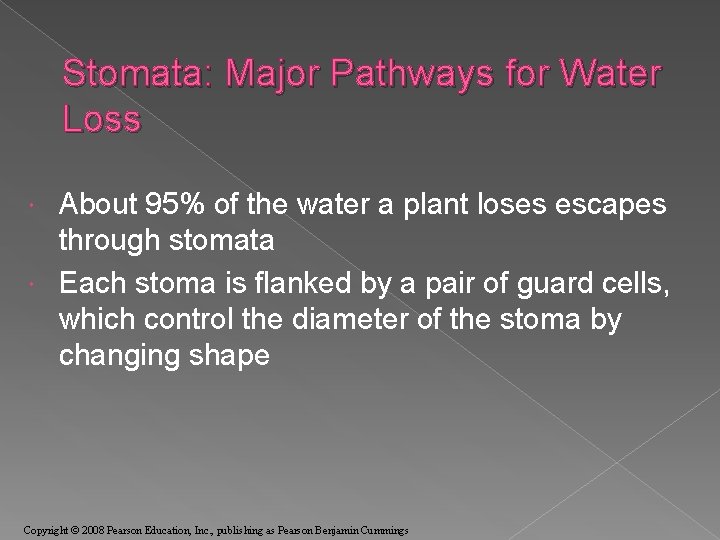 Stomata: Major Pathways for Water Loss About 95% of the water a plant loses