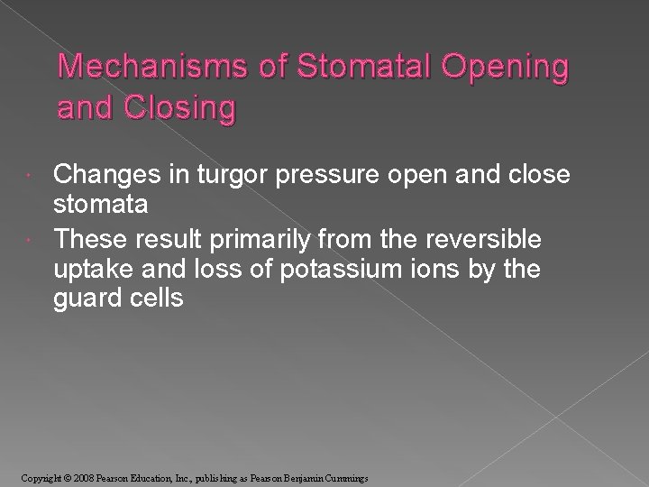 Mechanisms of Stomatal Opening and Closing Changes in turgor pressure open and close stomata