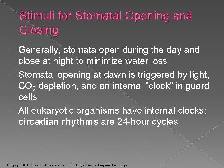 Stimuli for Stomatal Opening and Closing Generally, stomata open during the day and close