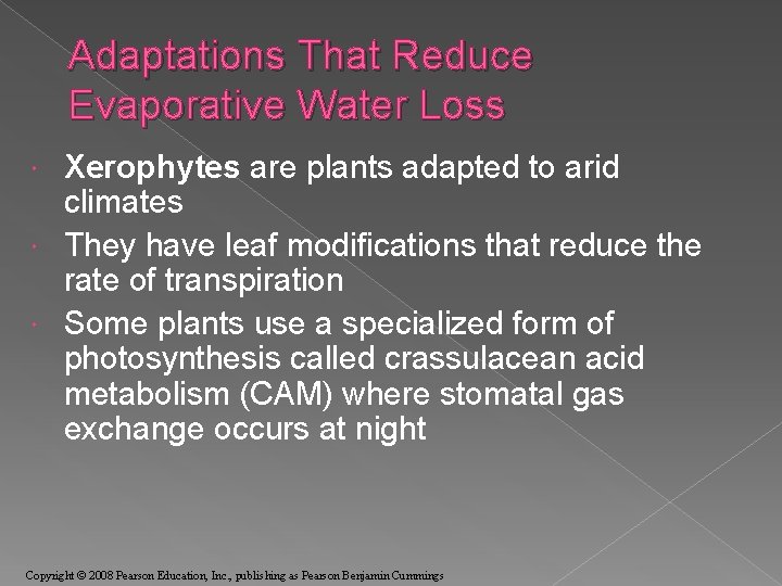 Adaptations That Reduce Evaporative Water Loss Xerophytes are plants adapted to arid climates They