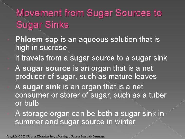 Movement from Sugar Sources to Sugar Sinks Phloem sap is an aqueous solution that